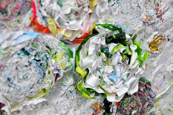 ジェーン・リー展「秘密の庭」