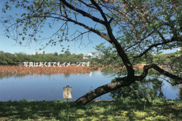 岡部 文 写真展