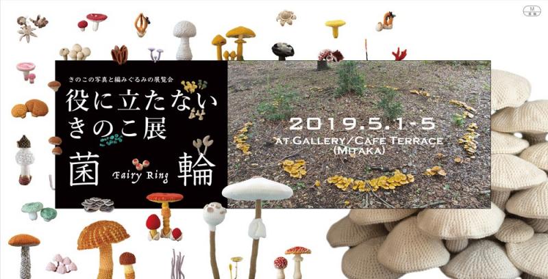 役に立たないきのこ展◉菌輪〜Fairy Ring