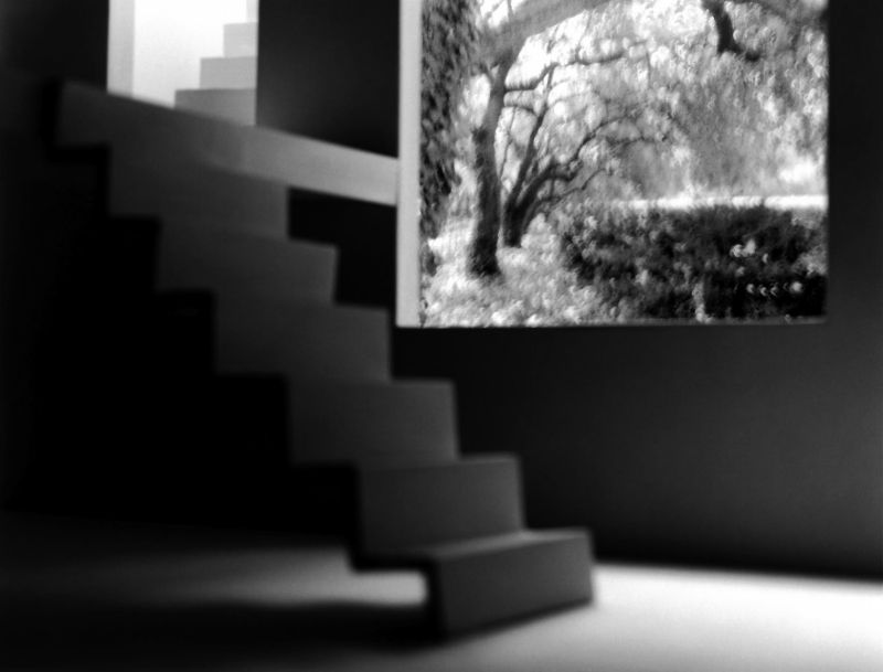 寺田真由美 「LIVING ABSENCE 」
