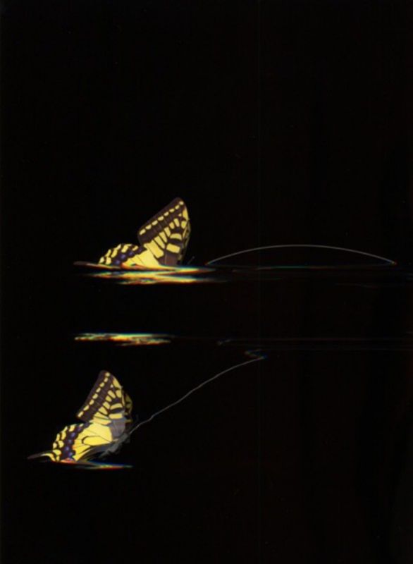 毛利 悠子 個展　『Pleated Image』
