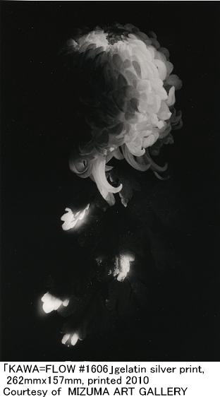 山本昌男個展「KAWA=FLOW」　東京フォト2010