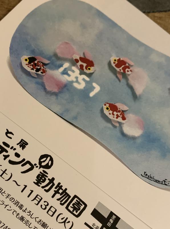 船場ビルディング小動物園