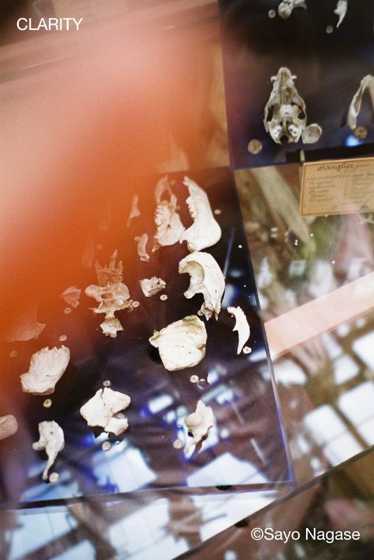 永瀬沙世 個展「CLARITY」