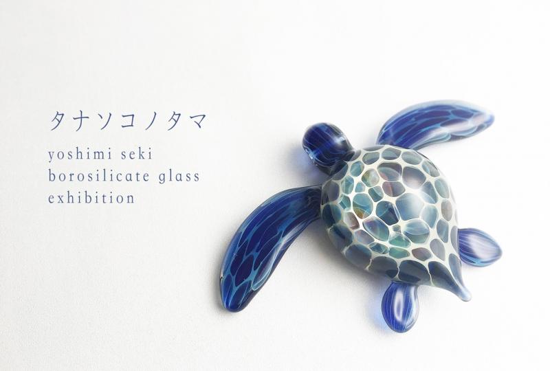 タナソコノタマ