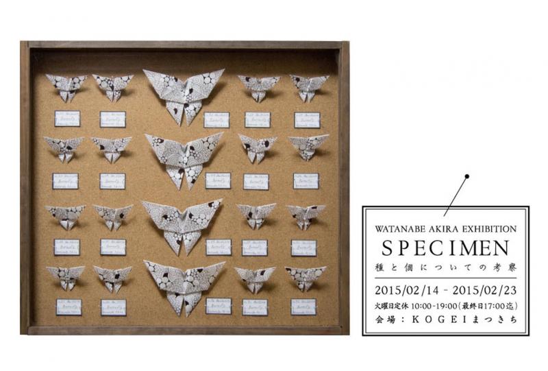 渡邉秋良作品展「SPECIMEN」