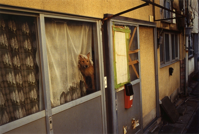 尾仲浩二写真展「Ｍａｔａｔａｂｉ」