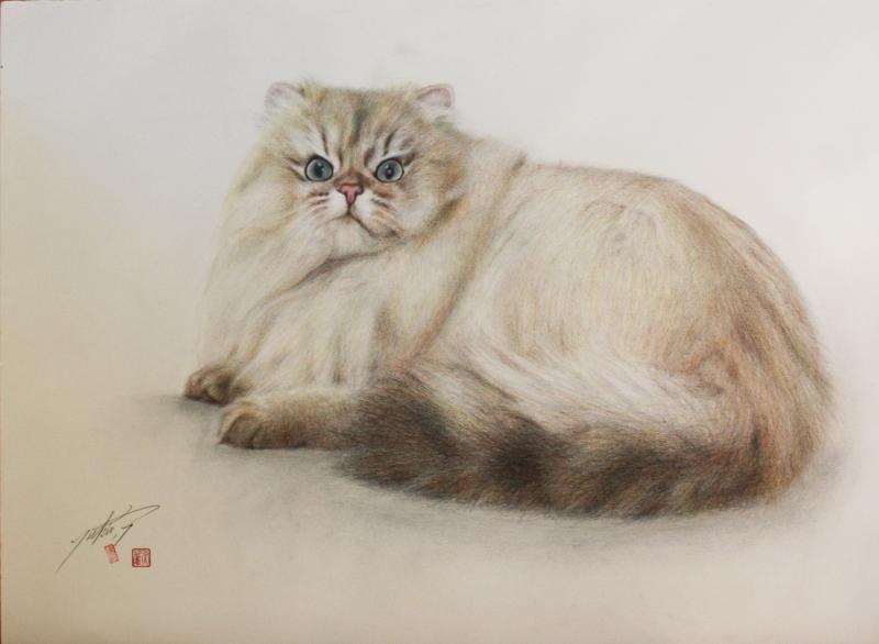 チンチラ祭展　ねこです!!