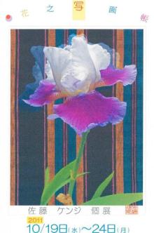 佐藤ケンジ個展「花之写画帳」