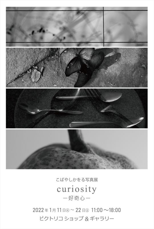 こばやしかをる 写真展「curiosity 好奇心」