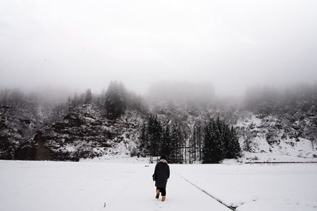 並木 舞 写真展　「paraiso」