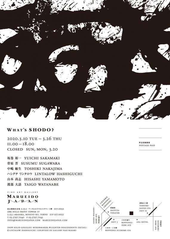 What's SHODO?