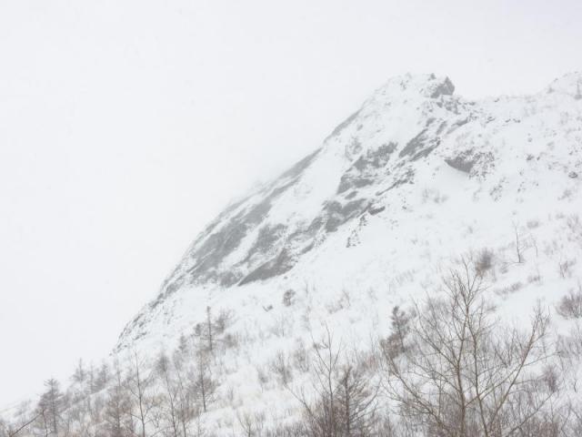 笹岡啓子写真展 「SHORELINE」