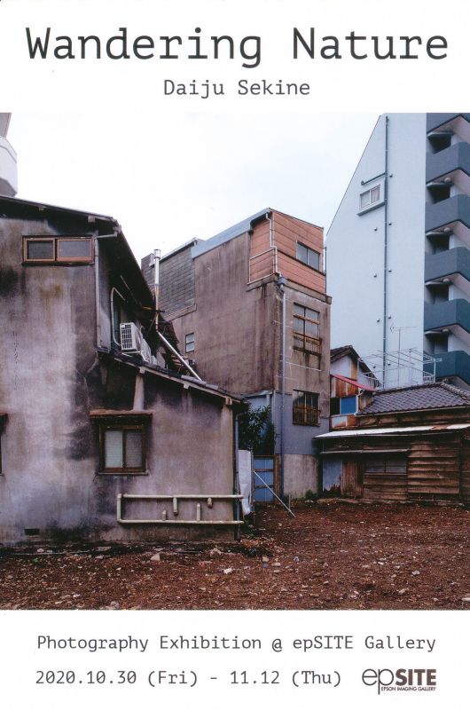関根大樹　写真展　Wandering Nature