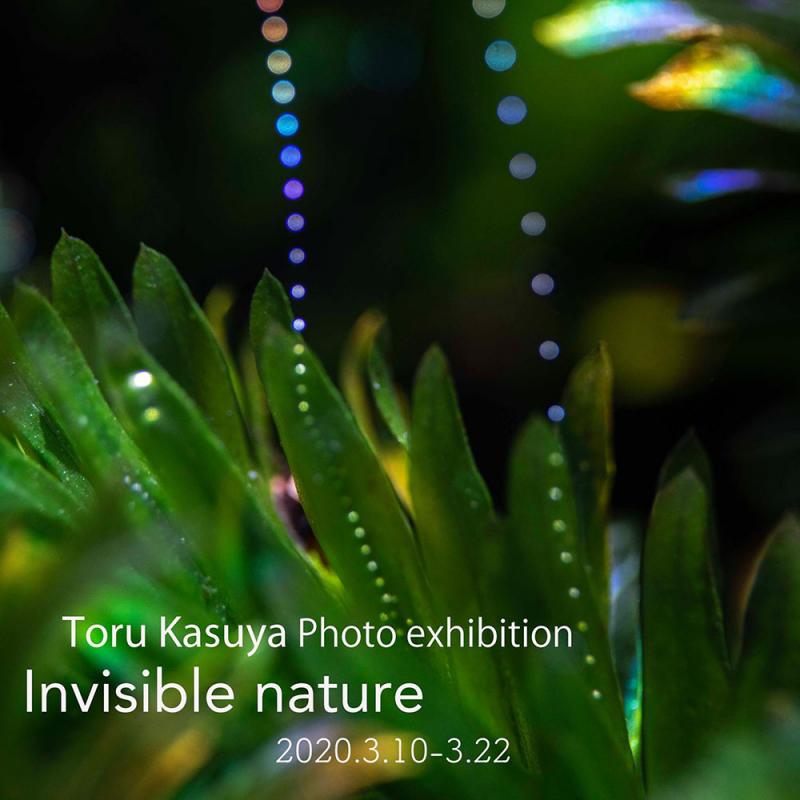 粕谷徹 写真展 Invisible nature