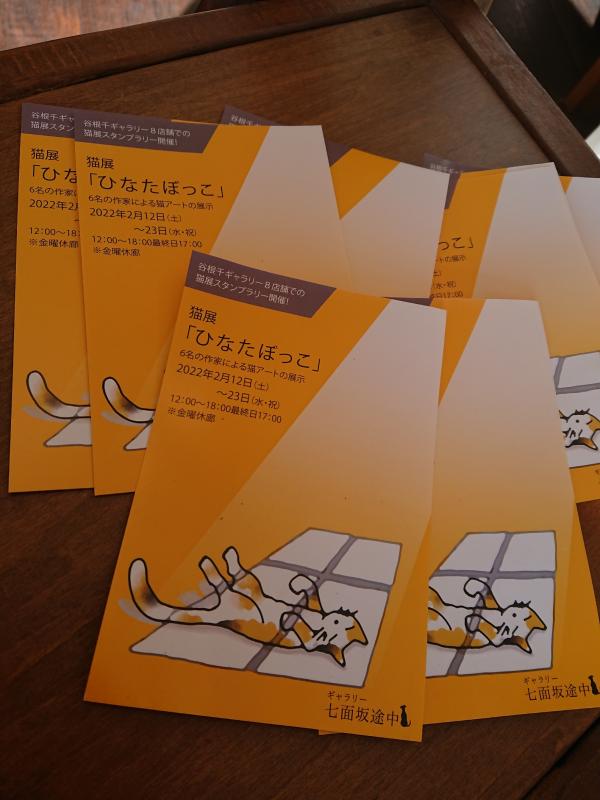 猫展 ひなたぼっこ