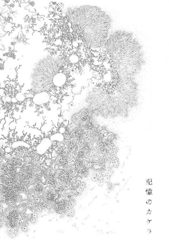 深浦よしえ個展　記憶のカケラ
