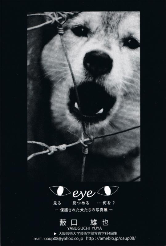 eye 　見る　見つめる　・・・何を？　-保護された犬たちの写真展-　藪口 雄也
