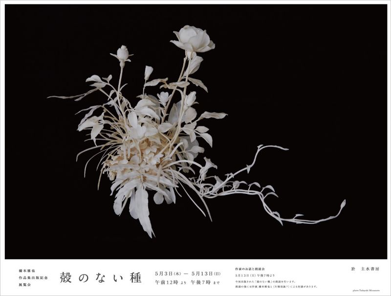 橋本雅也作品集・出版記念展覧会「殻のない種」