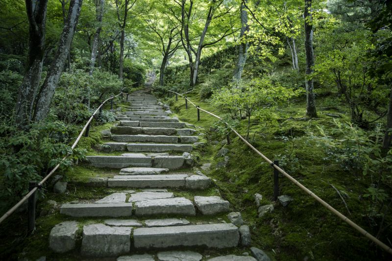 「そうだ 京都、行こう。」2018年初秋「モシュ印・コケ寺リウム」常寂光寺