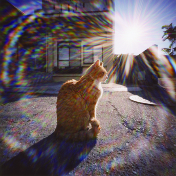 第8回　猫・ねこ写真展ＰＡＲＴ1