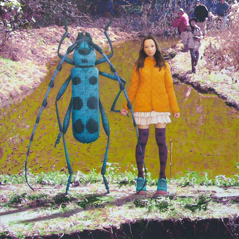 松山 賢展　「生きものカード（甲虫）」