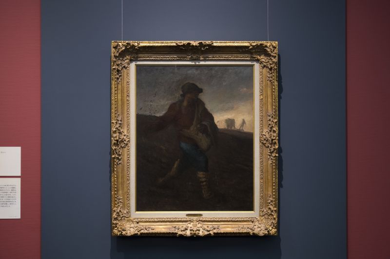 コレクション企画展　クローン文化財 ミレー の《種をまく人》