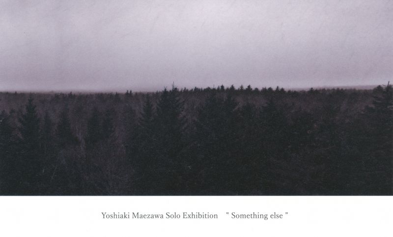 前澤良彰　作品展　”Something else”