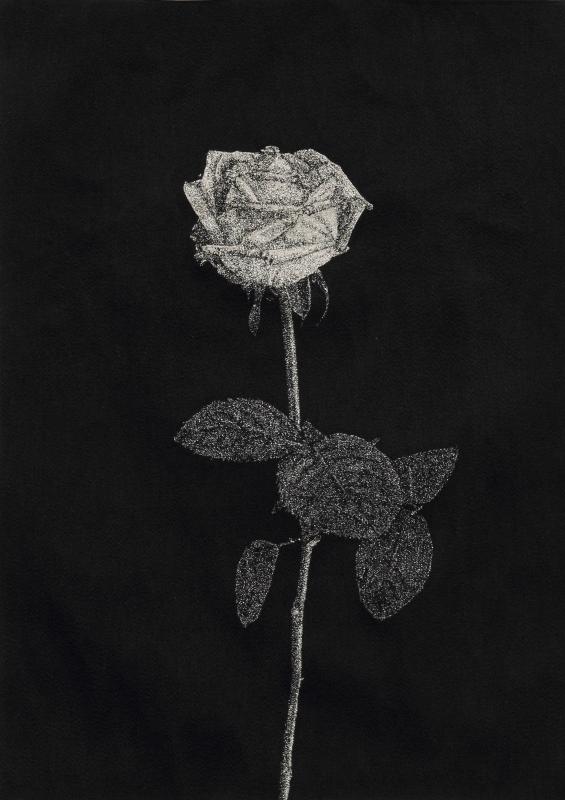 青山悟展「芸術家は人生において6本の薔薇を真剣につくらねばならない」