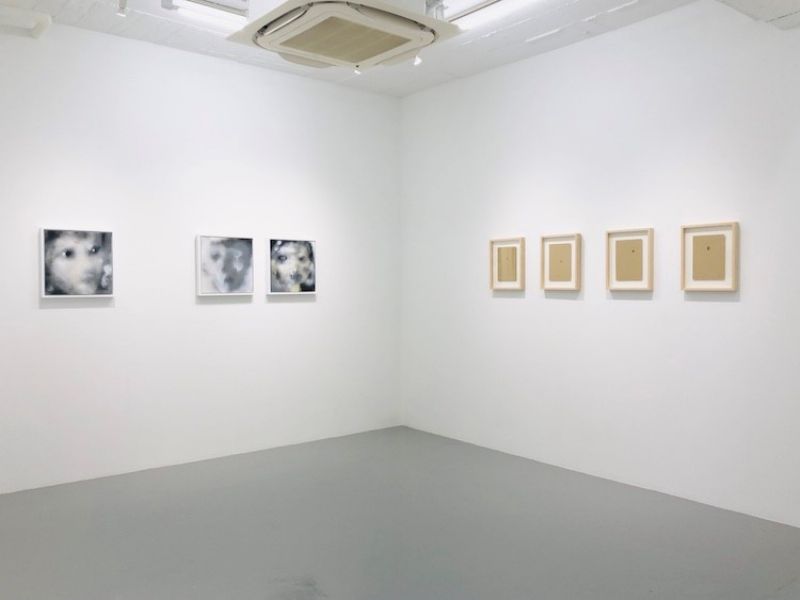 グループ展「Winter Show」　河口龍夫、ジャンボスズキ、ヒシャム・アキラ・バルーチャ、布施琳太郎