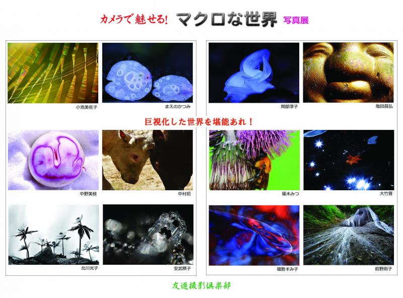 カメラで魅せる！マクロな世界 友遊撮影倶楽部 写真展