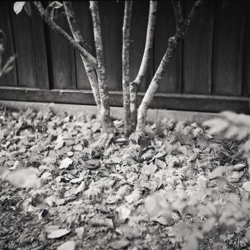 末田能久写真展「狸のあしあと vol.4」