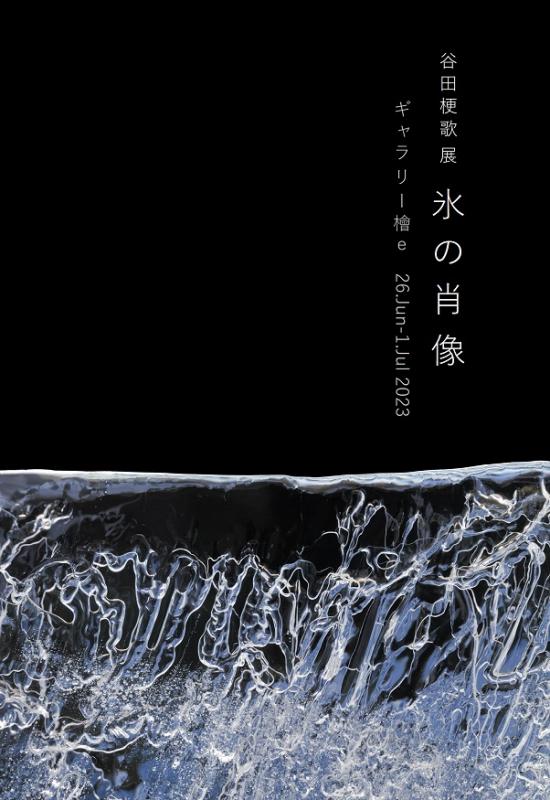 谷田梗歌展　氷の肖像 vol.5