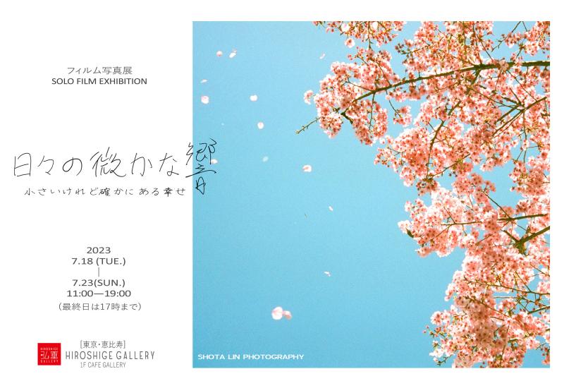 SHOTA LIN　フィルム写真展 「日々の微かな響」