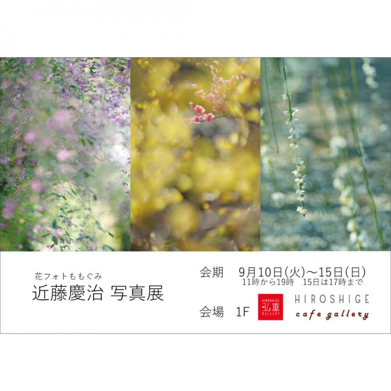 花フォトももぐみ 近藤慶治　写真展