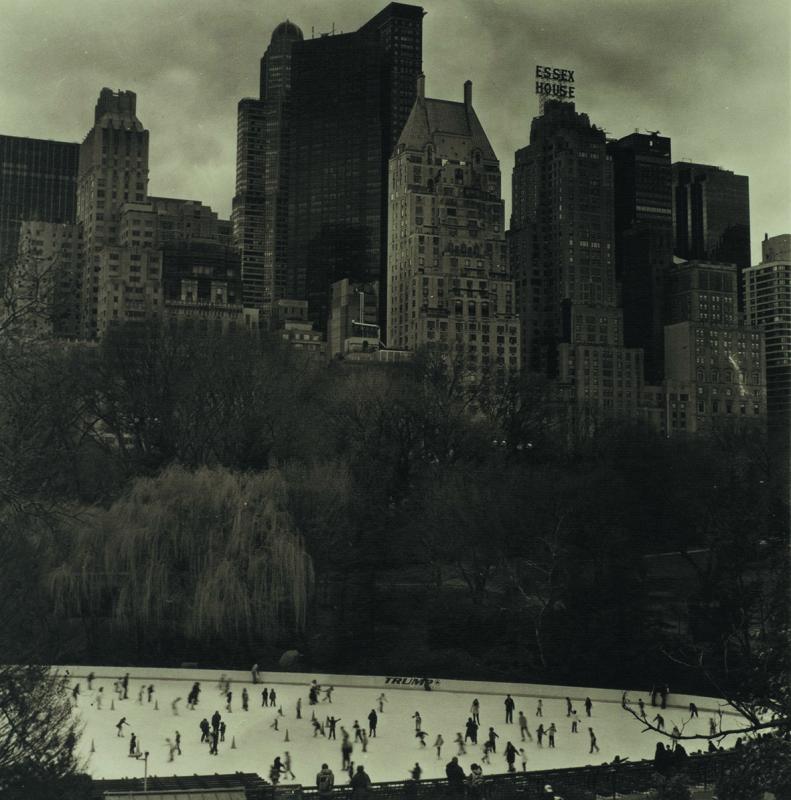 Urban Forest｜Takeshi Shikama