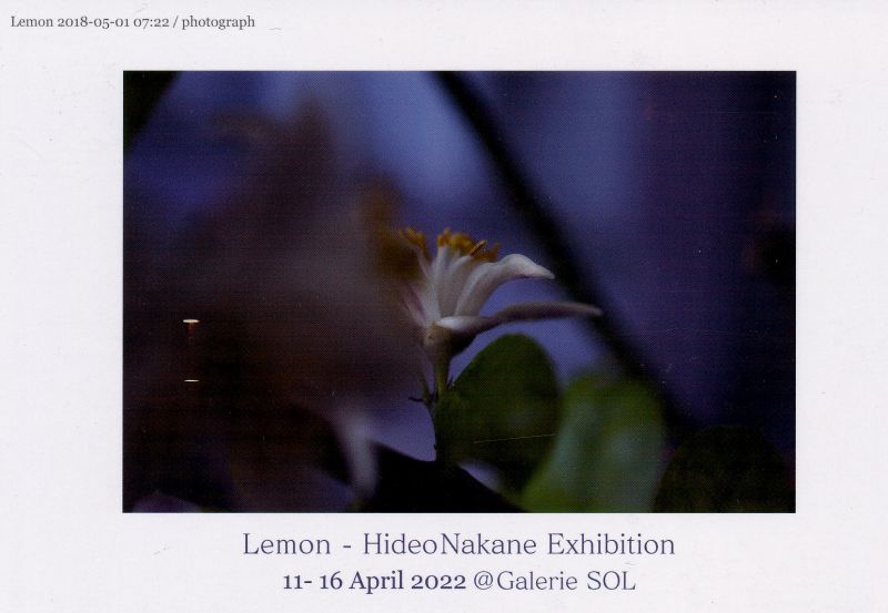 Lemon - 中根秀夫展
