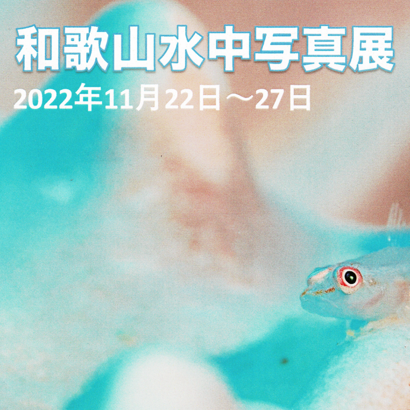 和歌山水中写真展