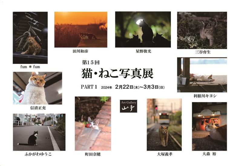 第15回　猫・ねこ写真展　PART1