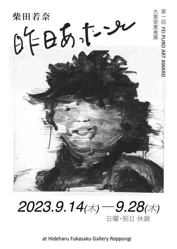 第1回 FEI PURO ART AWARD 大賞受賞者展「柴田若奈個展 昨日あったこと」
