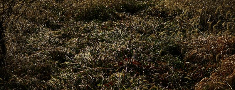榊原斎 写真展「LOST AND FOUND」