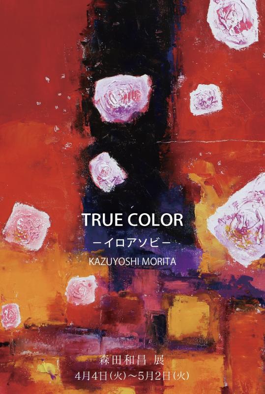 『TRUE COLOR　ーイロアソビー』森田和昌展