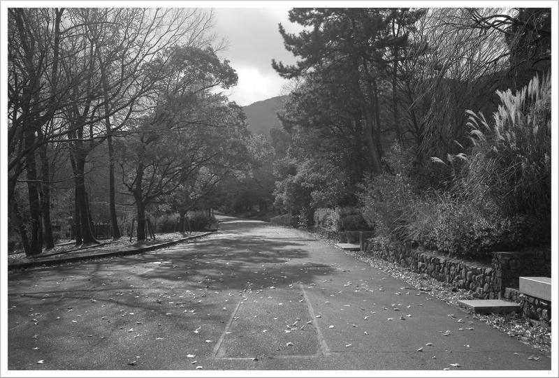 家辺大輔 写真展「HERE COMES THE SUN」
