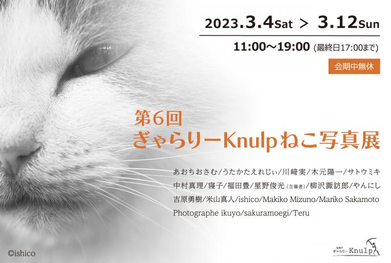 第6回ぎゃらりーKnulpねこ写真展