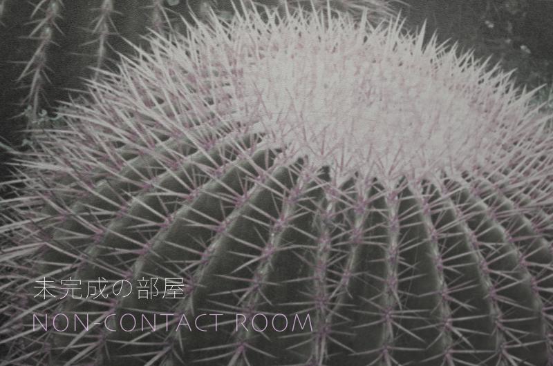 EN KUMAGAI『未完成の部屋／NON-CONTACT ROOM』