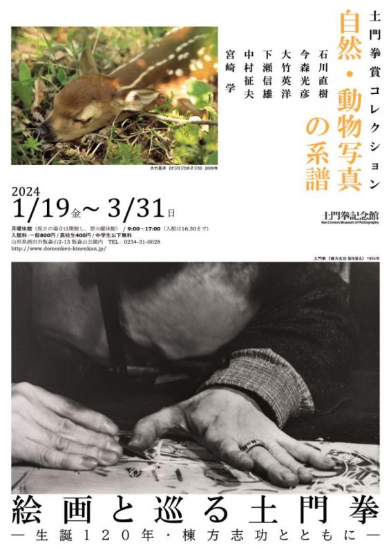 土門拳賞コレクション　自然・動物写真の系譜／絵画と巡る土門拳