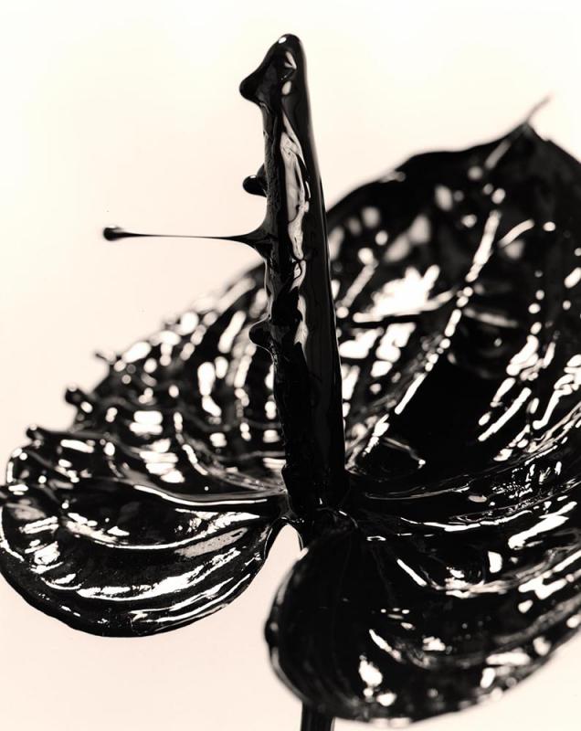 大坂寛 写真展「bondage」
