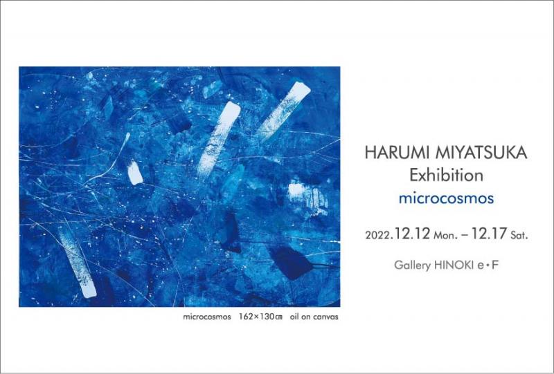 宮塚春美展　ミクロコスモス