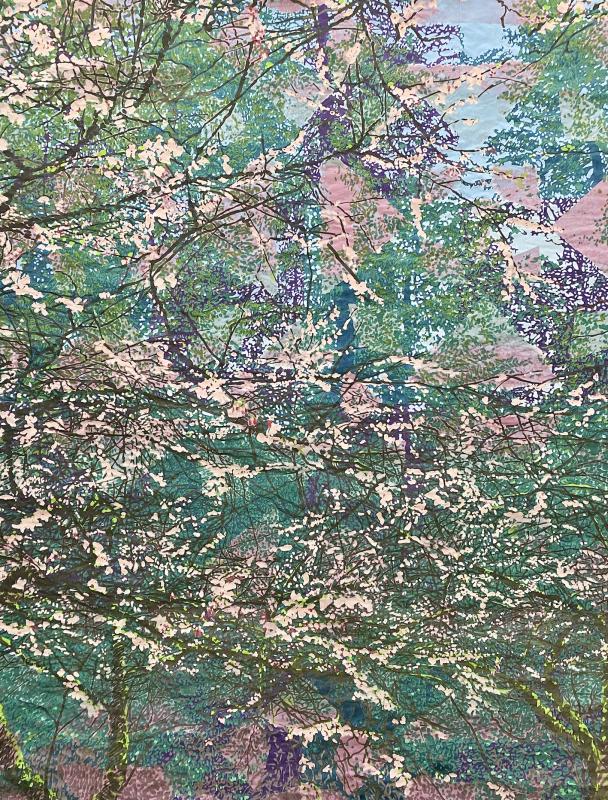 藤井健司 個展 色 / 空　 Color/Emptiness