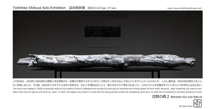 澁谷 俊彦  個展